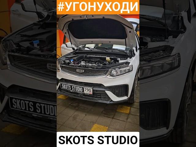 Нужна ли сетка в бампере?  #угонуходи #воробей #geely