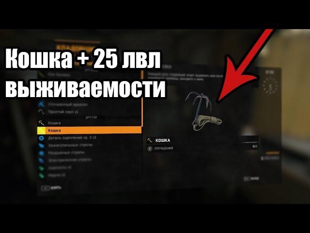 Как легко получить кошку в начале игры dying light + дюп на вещи