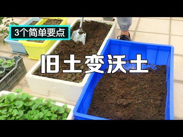 种菜的旧土得过病害怎么处理？简单3步处理一下，比新的土还好用