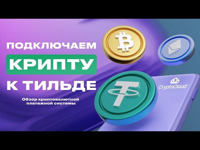 Обзор и подключение платежной системы CryptoCloud  к Tilda