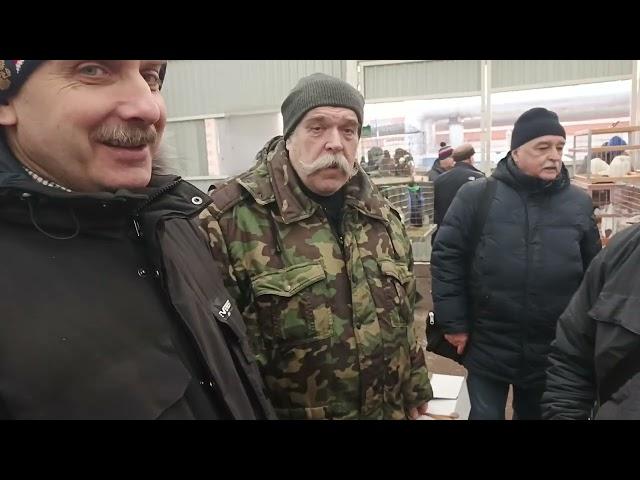 01.03.25 МОСКВА. ЯРМАРКА ГОЛУБЕЙ