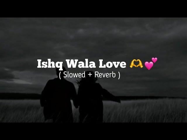 Ishq Wala Love ( Slowed + Reverb )🫶