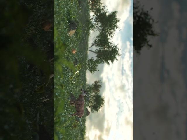 Nature Scene made in blender #blender #blendertutorial #3d #animation #shorts #short #nature