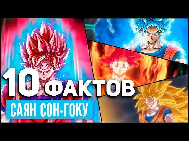 10 ФАКТОВ О СОН ГОКУ  / Драконий жемчуг супер