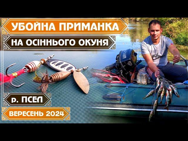 ВБИВЧА ПРИМАНКА на ОКУНЯ та НАЙПРОСТІША МЕТОДИКА його ЛОВУ у КІЛЬКОСТІ. Осінній СПЛАВ по річці ПСЕЛ