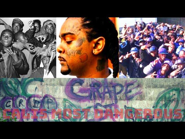 Who are the Grape Street Crips? The story of one of LA's most ruthless gangs| GSC VS BHB