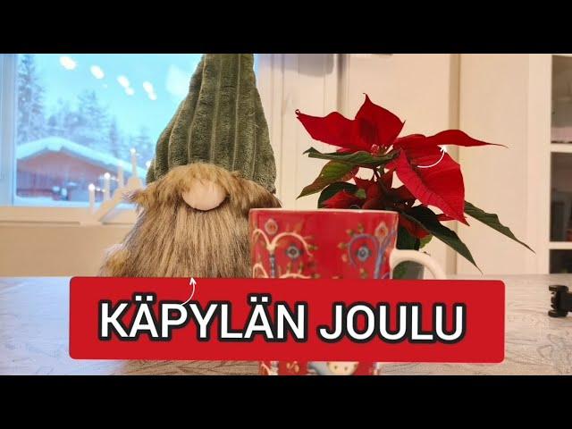 Meidän joulu   | Paluu arkeen ️