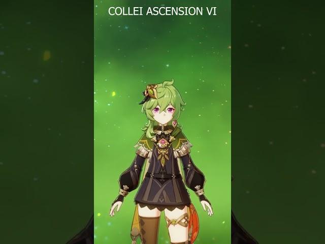 Ascension Phase VI Collei Goes Brrr