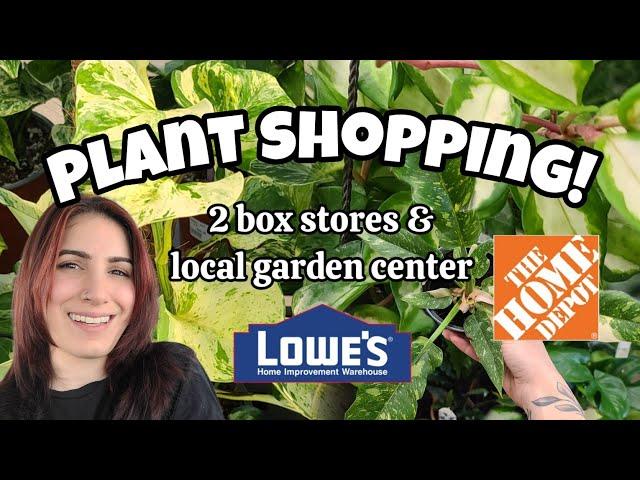 Lowe's, Home Depot & Osborne's Garden Center!!  plant shopping in Concord, NH ️