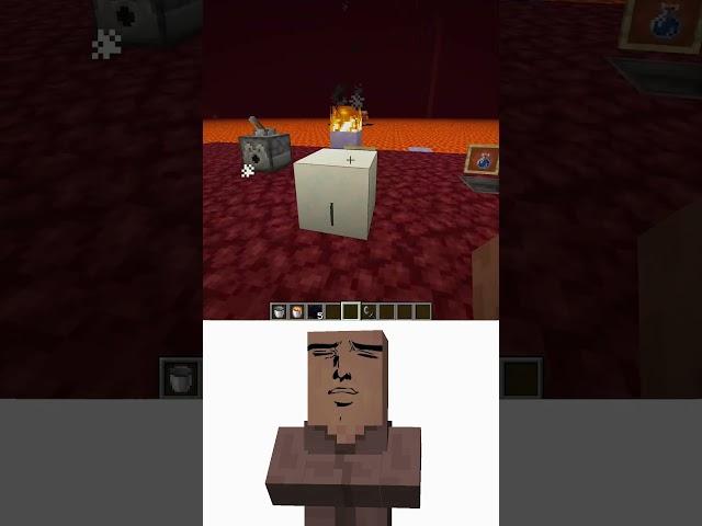 Villager Took Logic Personally... Oi Oi Oi Reaction Meme #shorts #minecraft #memes