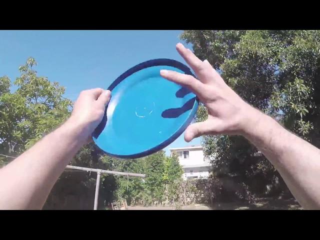 Retrieving a Frisbee