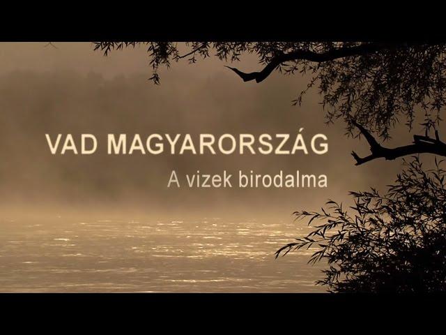 Vad Magyarország / Wild Hungary