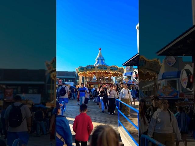 Pier 39 Bahía de San Francisco 🫶 #pier39 #aventura #travel #undiaenmivida #sanfrancisco