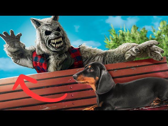 How To Make SCARY WEREWOLF Costume