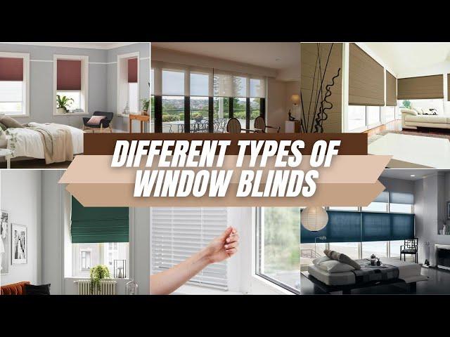 Different Types Of Window Blinds | Guide 2024