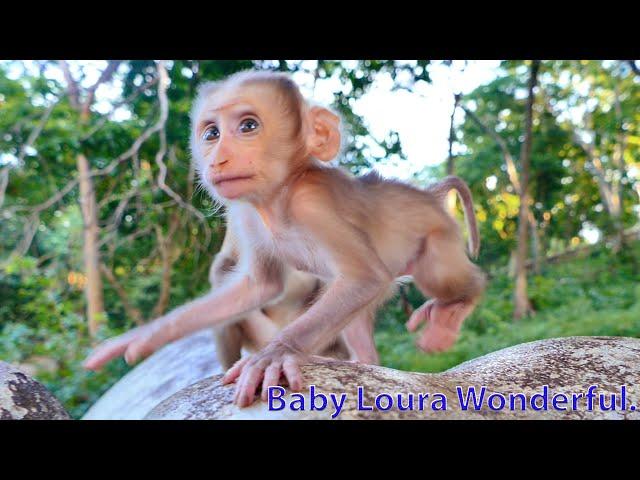 The Most Awesome of All...It Much Worth To Watch Beloved Loura Monkey Growing Up Step by Step Daily