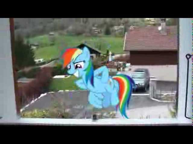 An unexpected visit from Rainbow Dash (MLP in real life)