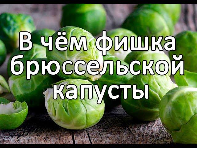 В чём фишка брюссельской капусты