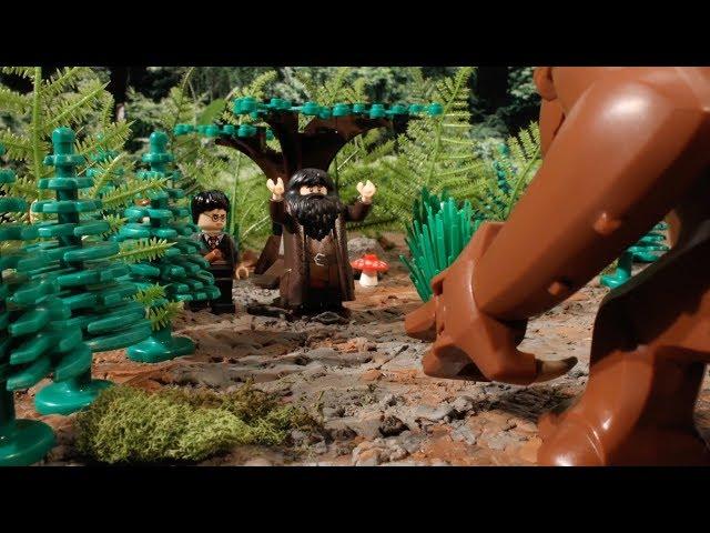 LEGO Harry Potter: Hagrid's New Pet