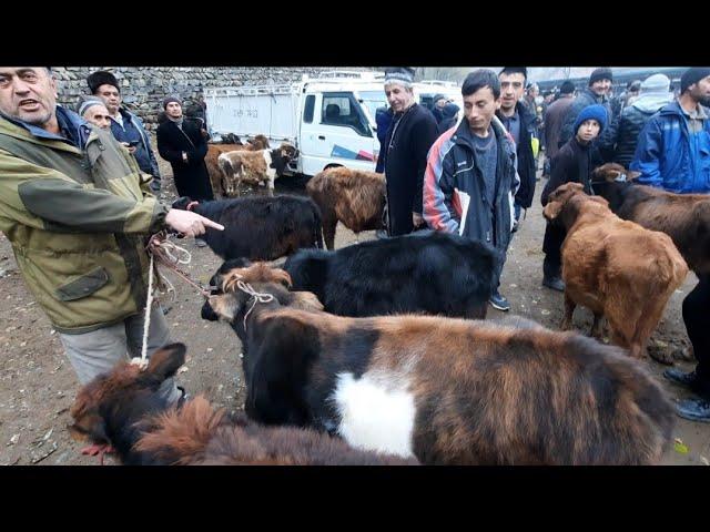 Молбозори Панчакент чоршанбе бозор шурча 16 11 2022.