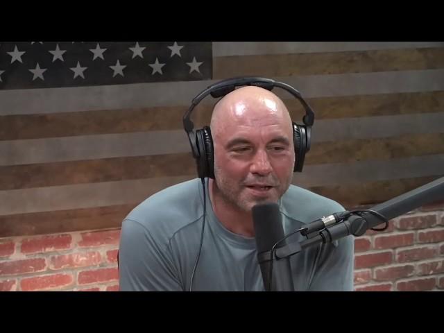 Joe Rogan and Edward Norton talk Steven Seagal