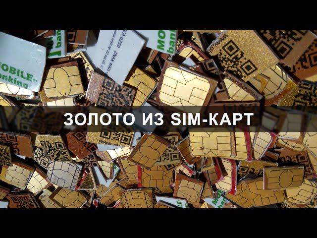 Gold of 1000 SIM cards and credit cards