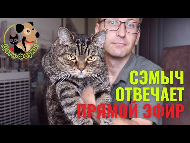 Ответы на вопросы о кошках и собаках 30.06.2024