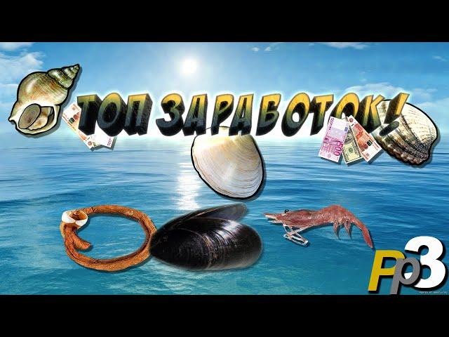 Русская Рыбалка 3.99 (Russian Fishing) Топ заработок! Лучшее место для ловли ракушки!