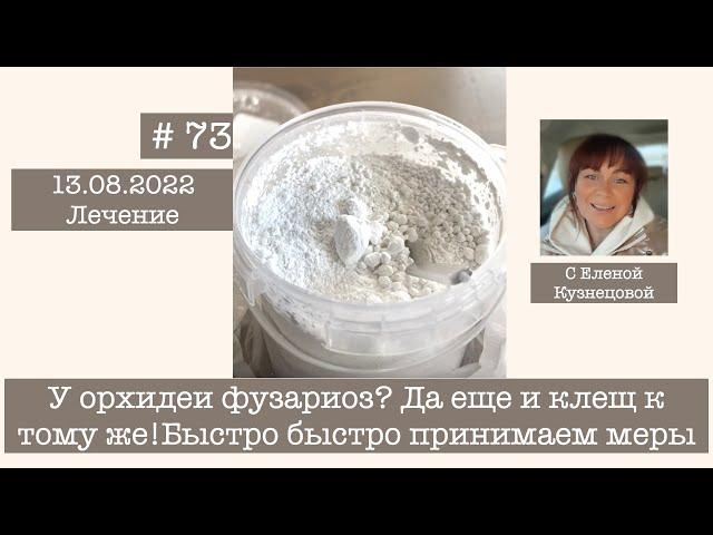 # 73 У орхидеи фузариоз? Да еще и клещ к тому же! Быстро быстро принимаем меры