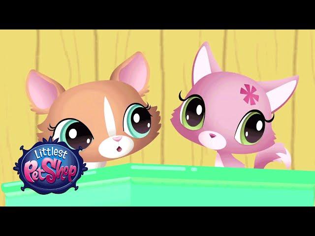 Littlest Pet Shop - 'Blythe's Scooter Adventure' Webisode