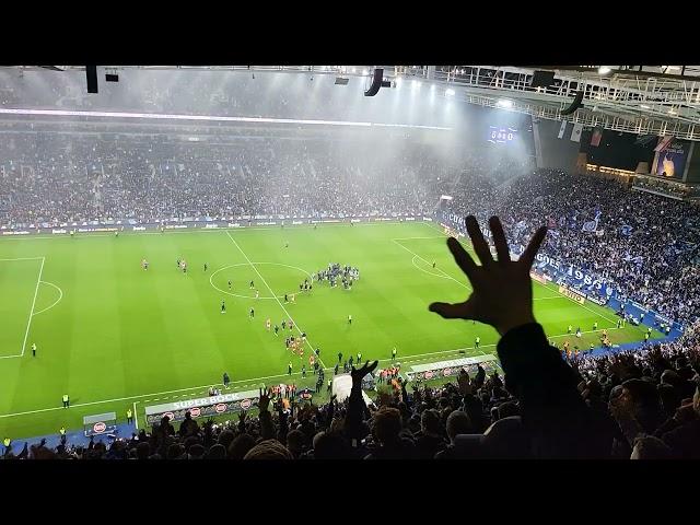 FC PORTO fans celebrate 5-0 Victory in O Classico! #FCPorto #liganos #ligaportugal