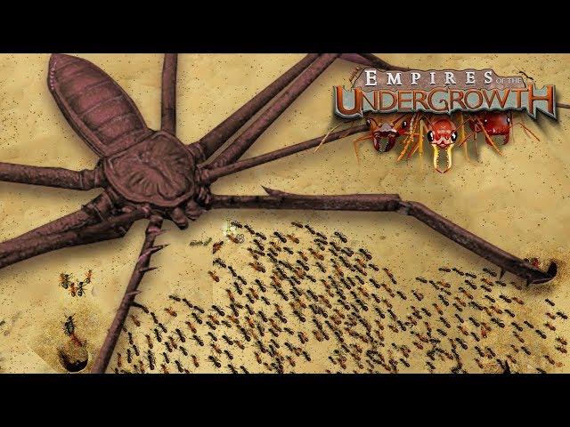 Thats A Big Bug!!! | The Leaf Cutters - Empires Of The Undergrowth - Ep9