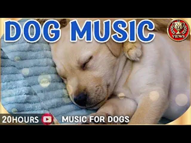 Dog favorite music, 20 hours of dog sleep music｜Separation anxiety relief for puppies who are alone