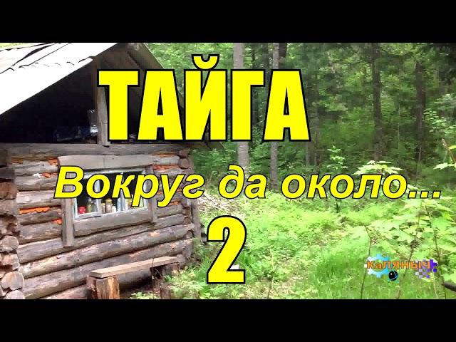 ТАЙГA | Вокруг да около 2 из 2