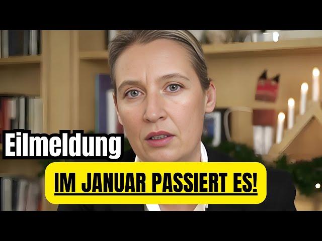 Nach Neujahr werden sie uns zerstören Alice Weidel Eilmeldung