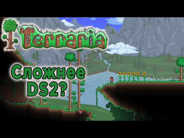 Terraria стрим, с подсказками от зрителей. Прохождение?