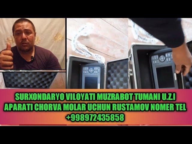 SURXONDARYO VILOYATI MUZRABOT TUMANI U.Z.I APARATI CHORVA MOLAR UCHUN RUSTAMOV NOMER TEL #972435858