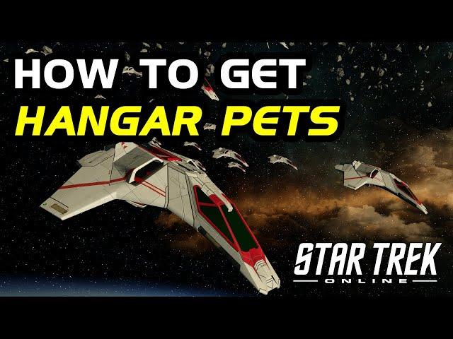 How To Get Hangar Pets in Star Trek Online