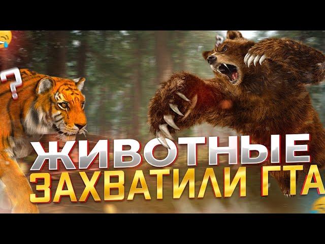 МЕДВЕДЬ И ТИГР ТРОЛЛЯТ ИГРОКОВ В ГТА! - НАМАЛЬСК РП | GTA