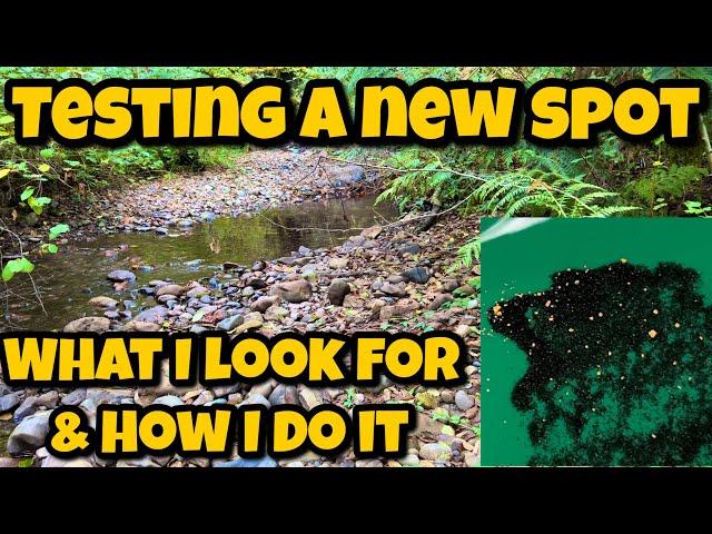 Testing a New Spot! What I Look for and How I Test. Special Channel Shoutouts Throughout!