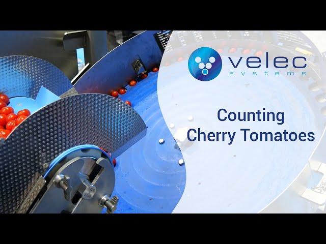 Counting Cherry Tomatoes | Velec Systems