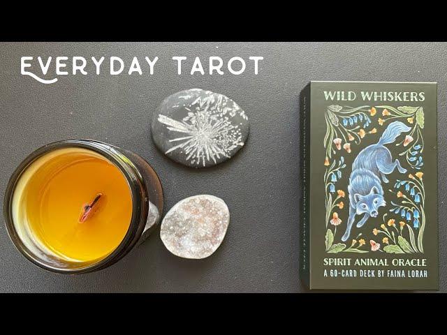 Everyday Tarot: Wild Whiskers Oracle