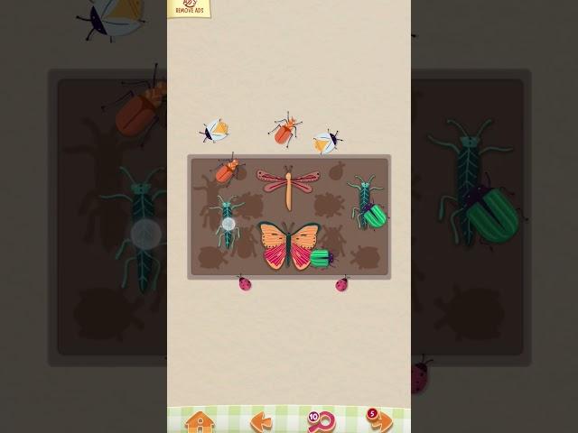 Make it perfect Chapter 1 level 10 #insects #box