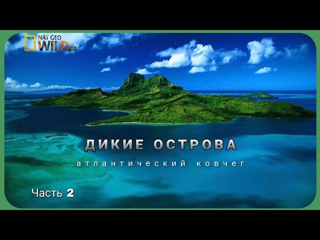 Дикие острова. Атлантический ковчег.Природа нашей планеты. Документальные фильмы National geographic