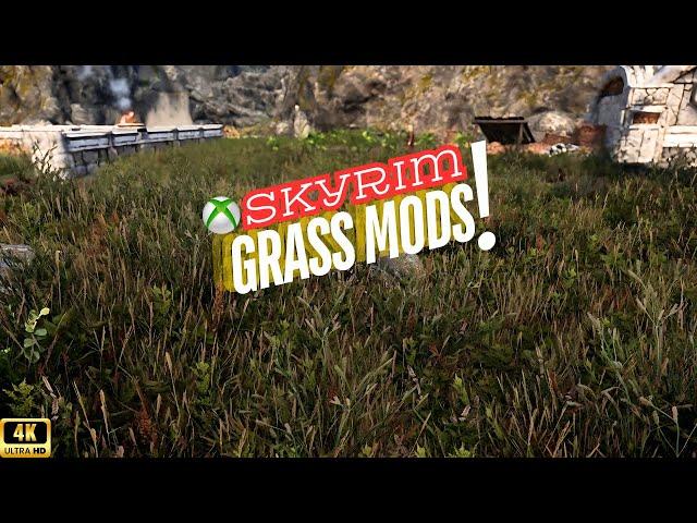 Skyrim | Top 5 Performance-Friendly Grass Mods Compared (2024)