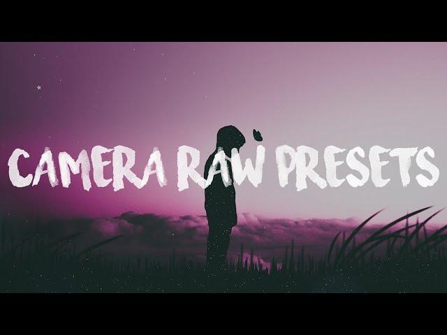 INSTALL PRESETS IN CAMERA RAW