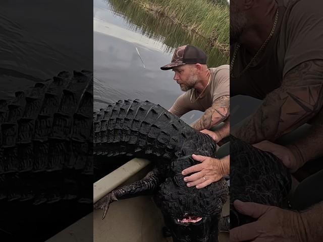 GATORS CAN EAT YOU!! #newsflash #gatorseason #alligator #hunting #hunt #crocodile #fishing