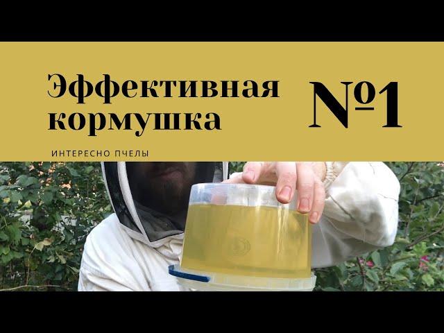 ЭФФЕКТИВНАЯ КОРМУШКА ДЛЯ ПЧЕЛ / ОСЕННЯЯ ПОДКОРМКА ПЧЕЛ