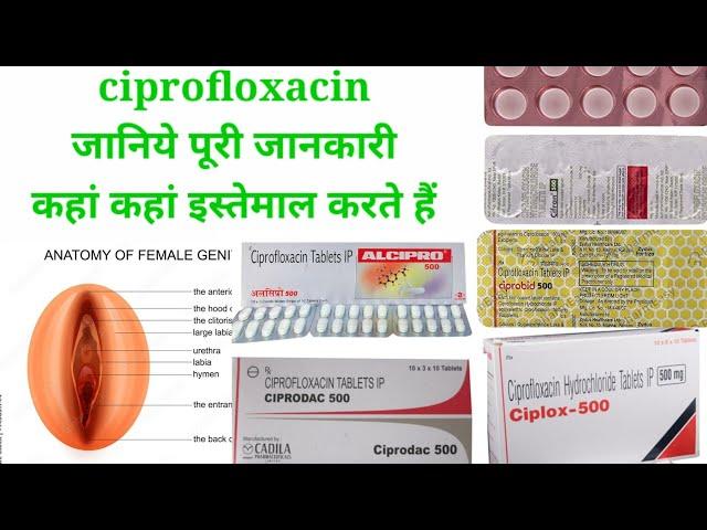 ciprofloxacin tablet use in Hindi, ciplox 500 tablet uses, ciprobid, cifran, alcipro, zoxan use