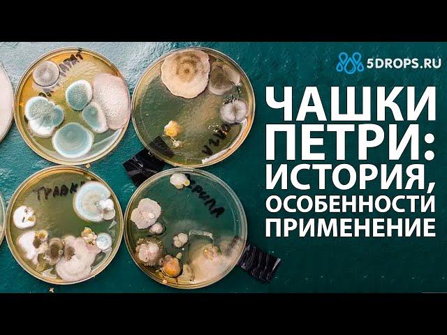 ЧАШКА ПЕТРИ. ИСТОРИЯ ВОЗНИКНОВЕНИЯ, ОБЛАСТЬ ПРИМЕНЕНИЯ И ОСОБЕННОСТИ